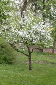 Gultentorp Bed and Breakfast - Image 3