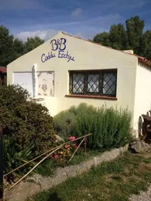 B&B Coddu Ecchju - Image 2
