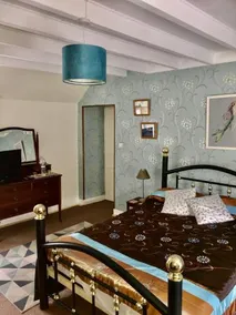 Les Perroquets - Image 3