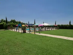Agriturismo B&B Ponziani - Image 3