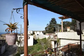 Konstantinos - Image 2