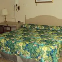 Dixie Plaza Motel - Image 4