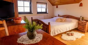 Tourist Farm Urška - Image 3