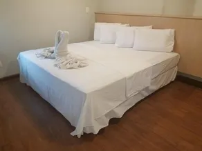 MS Palace Hotel - Image 2