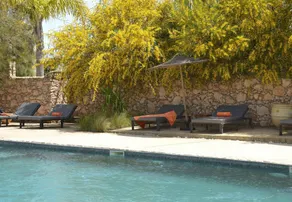 Koheilan Oriental Lodge Farm - Image 2