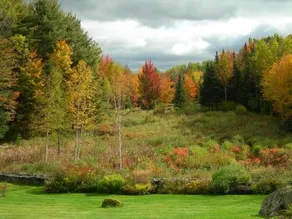 Adair Country Inn & Restaurant - Image 4