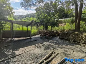 Tihu Homestay - Image 3