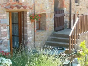 Oliveto di Teodora - Image 4