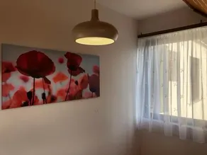 Mária Villa - Image 4