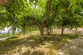 Villa Sensacions - Image 3