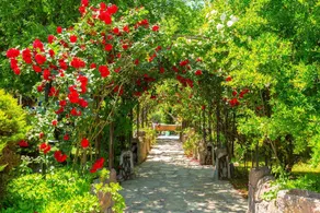 Villa Melek Paradise - Image 5