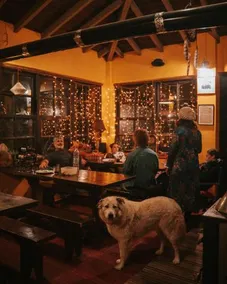 Toumba Eco Farm Guesthouses - Image 5
