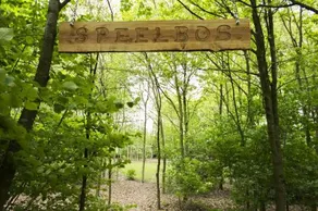 Pipowagen Camping Puur Genieten - Image 4