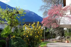 Chalet Schlossblick - Image 4