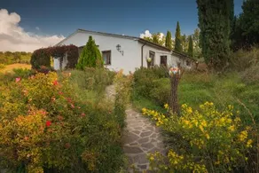 Villa Gaia - Image 2