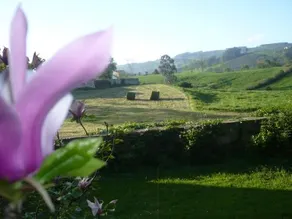 El Hidalgo de Quijas - Image 4