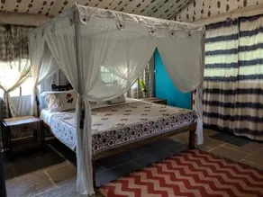 Bohemyan Blue Stay - Image 5