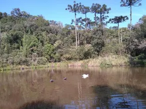Pousada Estância Carmello - Image 2