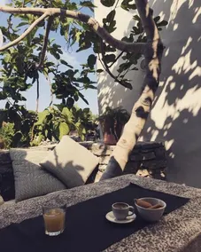 Fig Tree House - Image 3