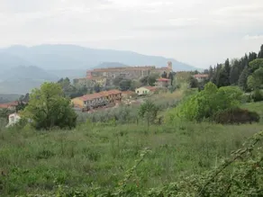 Il Merlo Verde - Image 2