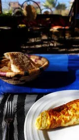 Camping Zebra - Image 5