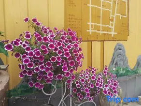 Liu Yuan Homestay - Image 2