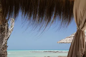 Dar Jerba - Image 3