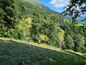 Bauernhof Lentsch - Image 5