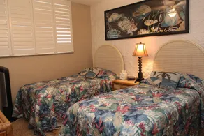 Oceanview 2BR 2BA condo with pool, AC, balcony, and beach access-Kanai A Nalu 317 - Image 2