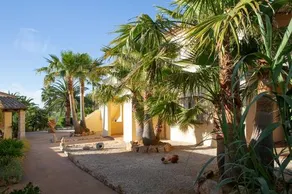 Ses Rotes Velles - Image 4