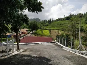The Wooden Homes - Image 4