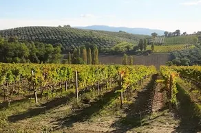 Bed & Breakfast San Marco - Image 5