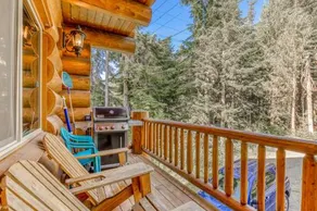 Skiing Bear Chalet - Image 4