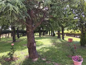 B&B da Eli - Image 2