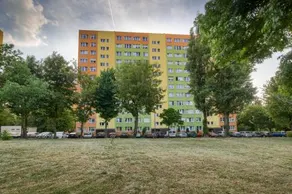 Własne M - Studio - Image 5
