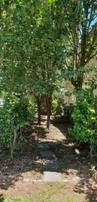Olive's Cottage - Image 5