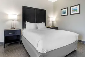 Holiday Inn Express Greer/Taylors @ Us 29 - Image 5