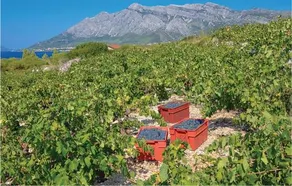 Holiday Home Postup 32 - Image 5