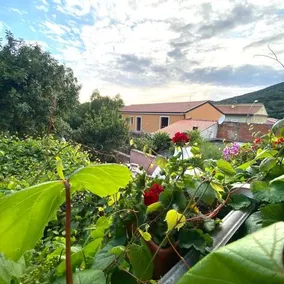 B&B Su Tostainu - Image 3