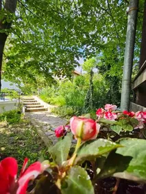 Orehite-Family Hotel ,Food & Pool - Image 5
