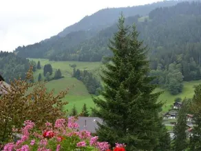 Spillgerten-Blick - Image 4