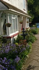 The Pebbles Cottage - Image 3