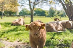 Hill House Farm - Image 2