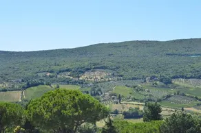 Damario Panorama - Image 3