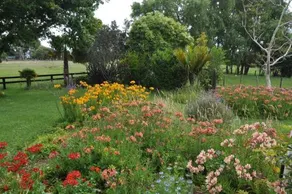 Jacaranda Lodge - Image 2