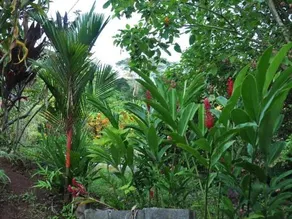 Pension Temaeva - Image 2