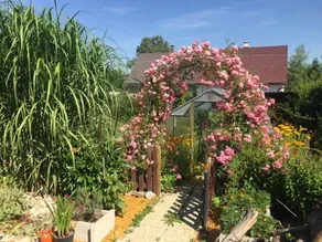 Apartmany Clematis - Image 5