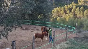 Masia Casajoana Rural - Image 3