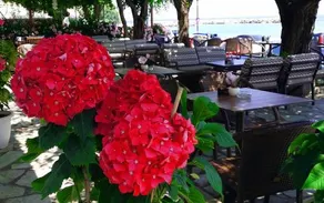 Hotel Evripidis - Image 5