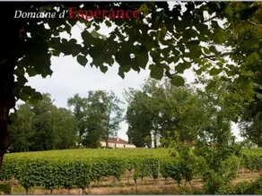 House Lascannes 1 - Image 3